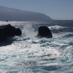 Марина С, Орёл