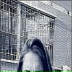 Катя Тихонова, 23.06.2000, Москва