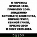 Dan Root, Екатеринбург
