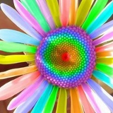 Инна Бущак, 18.07.1987, Николаев