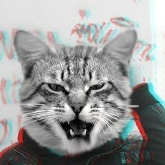 Андрюха Котов, Луцк