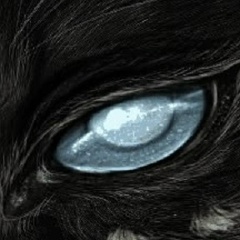 Миросвет Чёрный-Волк, 17.08, Москва