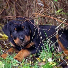 Елена Вдовина, 29.07, Москва