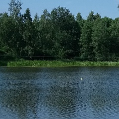 Наталья Зиновьева, 04.08, Санкт-Петербург