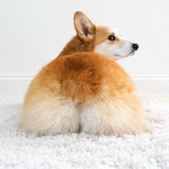 Наталия Андреева, 05.05.1989, Жуковский