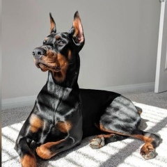 Эллина Маркелова, 10.10.1985, Уфа