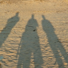 Антон Яковлев, Санкт-Петербург