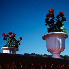 Дарья Евстратова, 01.03, Москва