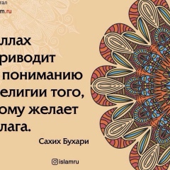 Асель Сулейманова, 08.03.1999, Москва