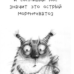 Роман Карамышев, 11.08.1979, Старый Оскол