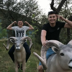 Болат Сейткулов, 10.08, Шымкент