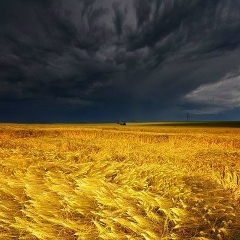 Андрій Шеремет, 06.04, Киев