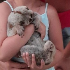 Анька Вредина, 19.07, Москва