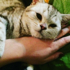 Зарина Муратова, 11.02, Шымкент