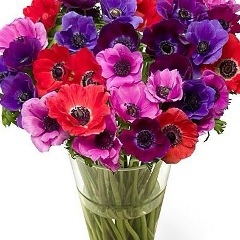 Айнур Абдрахманова, 23.08, Алматы