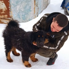 Антон Белугин, 01.12, Йошкар-Ола