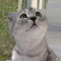 Олег Матроскин, 18.01, Солнечногорск