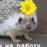 Марина Каднай, 12.11