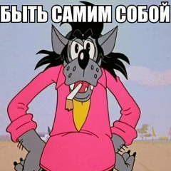 Кирилл Николаев, Новополоцк