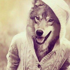 Іздеме Таппайсы, 28.09, Suez