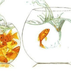 Христина Христиненко, 15.03