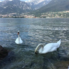 Ирина Иванова, 10.09, Milano