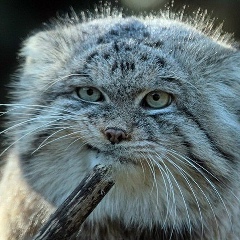 Ирина Казакова, 27.04