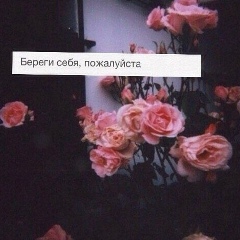 Фариде Исраилова
