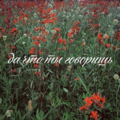 Иосиф Гольдман, 07.11