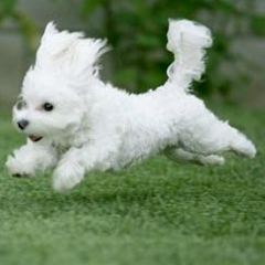 Таня Рыбачук, 06.06