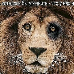 Дмитрий Касюкин