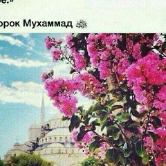 Бермет Таштанбекова