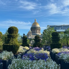 Ольга Артамонова, 14.08, Санкт-Петербург