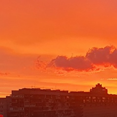 Николай Петров, Санкт-Петербург