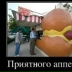 Павел Лаппо, Киев