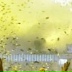 Олег Ижиков, 25.06, Пермь