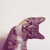 Alexandr Alexandrov, 22.09