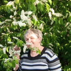 Ирина Кузнецова, Вельск