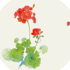 Гульбану Ержанова, 31.01.1981, Астана