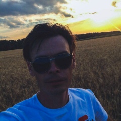 Сергей Михалкин, Амвросиевка