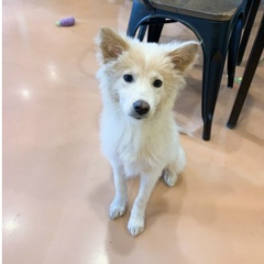 Лана Ким, 07.03, Cheongju