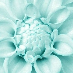 Юлия Кашина, Екатеринбург