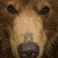 Евгений Леопольдов, 28.04, Красноярск