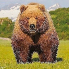 Илья Гурылев, 19.04.1984, Санкт-Петербург