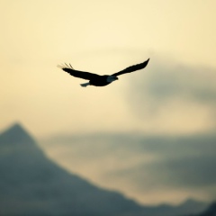 Эдгар Маргарян, 31.12.1995, Санкт-Петербург