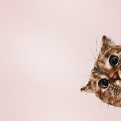 Ирина Вертьянова, 28.08, Киев