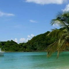 Дмитрий Стерлягов