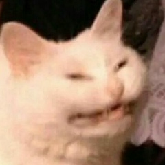 Hiroko Matsumoto, 29.04.1920, Киев