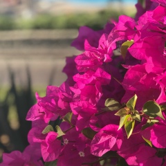 Катерина Чарыгина, 12.01, Москва