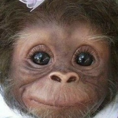 Johnson Yo, 09.04, Кишинев